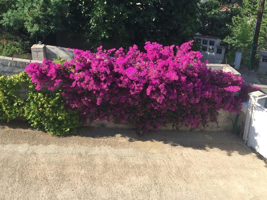 Casa Azzura Apartamento Bastia  Exterior foto